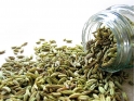 Natural Fennel Seeds