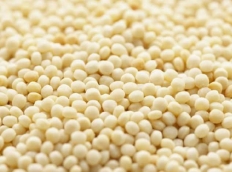 Grains Blé dur berkoukes mhamsa aich