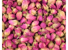 Bud of dried roses