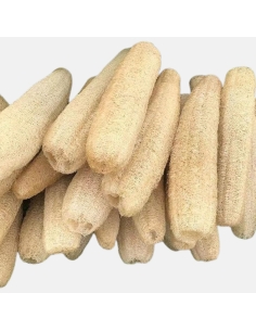 Lot de 10 Loofah brut naturel