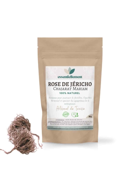 Rose de jericho -  Chajarat Mariam - plante sauvage du Sahara