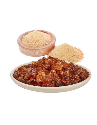 Gomme Arabique Instantanée en Poudre – ELNASR –...